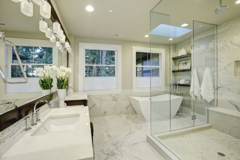 Master Bathroom Remodeling Showcase